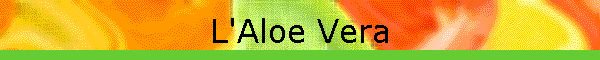 L'Aloe Vera