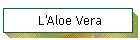 L'Aloe Vera